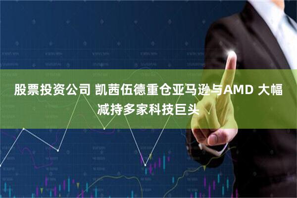 股票投资公司 凯茜伍德重仓亚马逊与AMD 大幅减持多家科技巨头