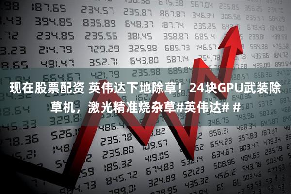 现在股票配资 英伟达下地除草！24块GPU武装除草机，激光精准烧杂草#英伟达# #